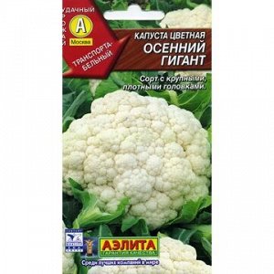 Капуста цв Осенний гигант (Аэлита)