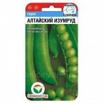 Горох Алтайский изумруд (Сиб сад)