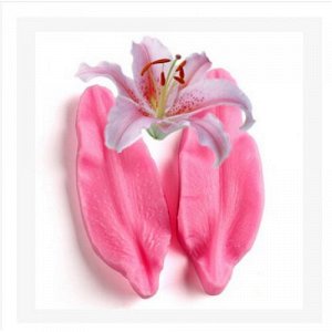 Молд-вайнер лепесток орхидеи