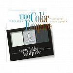 Тени для век Trio Empire Color, тон 305, TF Cosmetics