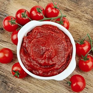 Вианг томатная паста 510гр. ст/б твист 25% ГОСТ 1/12