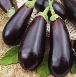 Баклажан Алмаз среднеспелый, цилиндр, темно-фиолетовый 0,3гр