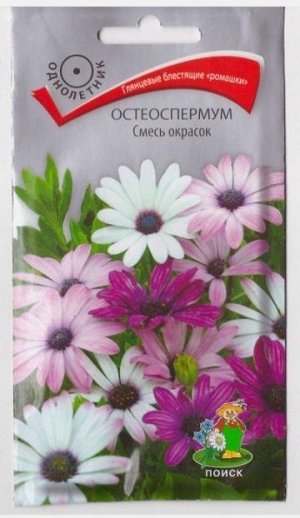 Остеоспермум Смесь окрасок (Код: 65559)