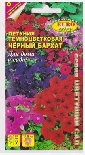 Петуния Черный Бархат (Код: 67323)
