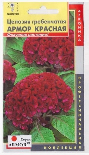 Целозия Гребенчатая Красная (Код: 74715)