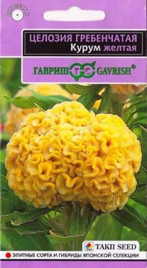 Целозия Гребенчатая Курум желтая (Код: 87021)