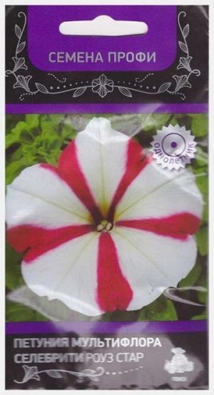 Петуния Селебрити Роуз Стар (Код: 73457)