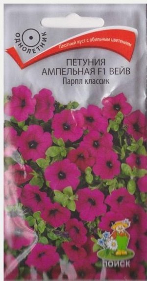 Петуния Вейв Парпл классик F1 (Код: 69402)