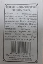 Цинния Калифорнийские гиганты ч/б (Код: 89043)