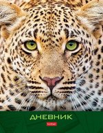 Дневник 1-11 класс (твердая обложка) &quot;ЯГУАР&quot; (074527) 27072 Хатбер {Россия}