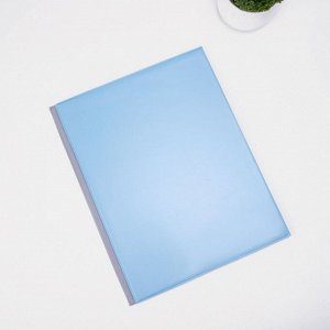 Папка для семейных документов, 4 комплекта, цвет голубой, «Семейное дерево»