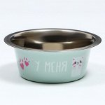 Миска стандартная &quot;Пижон. У меня лапки&quot;, 225 мл
