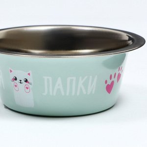 Миска стандартная "Пижон. У меня лапки", 225 мл   5505009