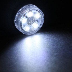 Светильник светодиодный Torso, автомобильный, 5 LED, d 3 см, белый