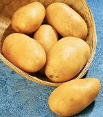 Семенной картофель «Зекура», 3 кг