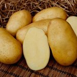 Семенной картофель «Зекура», 5кг