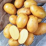Семенной картофель &quot;Королева Анна&quot;, 5 кг