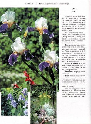 Новый взгляд на привычный сад. 150 идей находчивых садоводов
