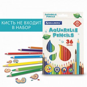 Карандаши цветные акварельные BRAUBERG PREMIUM AQUARELLE, 36 цветов, трехгранные, утолщенный грифель 4 мм, натуральное дерево, 181674