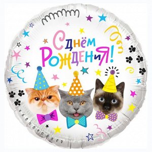 Шар фольгированный 18" «С днём рождения! Котики», круг, в упаковке