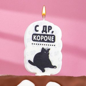 Свеча для торта "С др, короче", кот, 5х8,5 см, белая