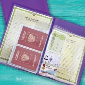 Папка для семейных документов с файлом для паспортов A4 ПВХ фиолетовая 2137.П-110 ДПС {Россия}