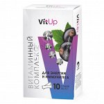 «Витаминный комплекс для энергии и иммунитета VitUp» со вкусом смородины, 20 пакетиков