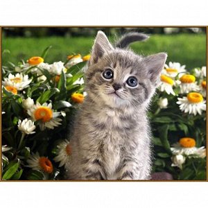 Алмазная мозаика «Послушный котёнок» 27 * 20 см, 32 цв. + наклейка