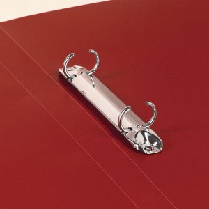 Папка на 2 кольцах BRAUBERG &quot;Стандарт&quot;, 25 мм, красная, до 170 листов, 0,8 мм, 221614