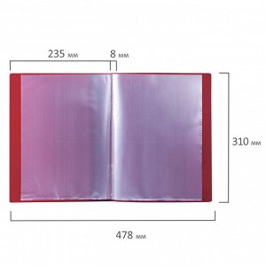 Папка 10 вкладышей BRAUBERG стандарт, красная, 0,5 мм, 221590