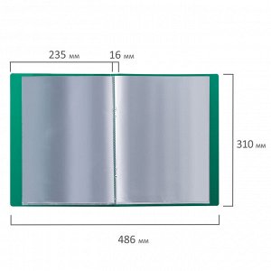 Папка 20 вкладышей BRAUBERG стандарт, зеленая, 0,6 мм, 221593