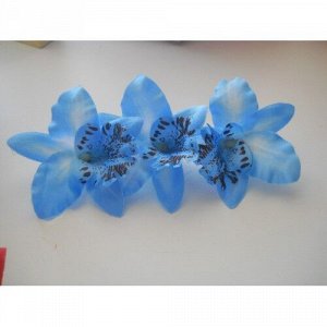 Орхидея Каттлея голубая 7см, 5шт