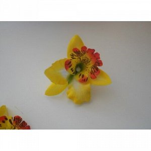 Орхидея Каттлея желтая 7см, 5шт