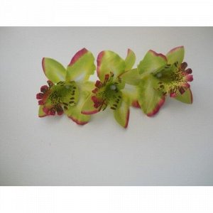 Орхидея Каттлея зеленая 7см, 5шт