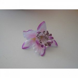 Орхидея Каттлея белая с фиолетовым ореолом 7см, 5шт