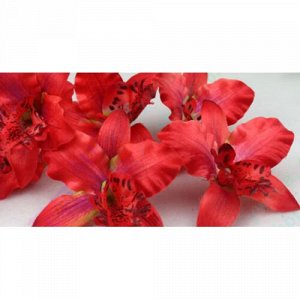 Орхидея Каттлея красная 7см, 5шт