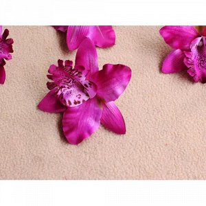 Орхидея Каттлея фиолетовая 7см, 5шт