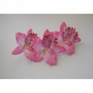 Орхидея Каттлея розовая 7см, 5шт