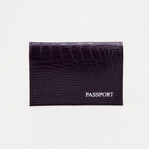 Обложка для паспорта, цвет баклажан 2735608