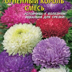 Астра Огненный король, смесь окрасок 0,2г А