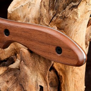 Нож охотничий "Фортуна" с ножнами, сталь - AUS8, рукоять - дерево