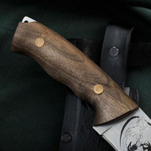 СИМА-ЛЕНД Нож разделочный Сафари-1, нержавающая сталь 65х13, 26,5х1,5 см, длина клинка 14 см