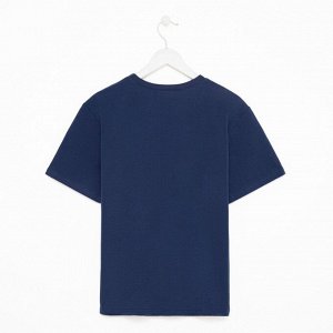 Футболка мужская MINAKU REGULAR FIT: цвет синий