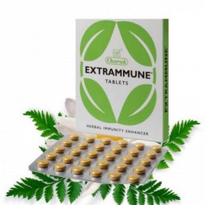 ЭКСТРАМУН (EXTRAMMUNE) - эффект при борьбе с инфекциями,30 таб