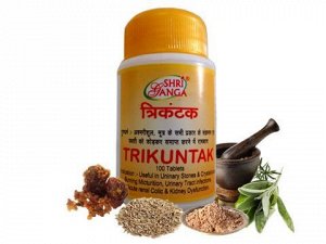 Трикунтак , Trikuntak (Shri Ganga)