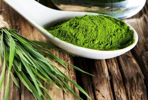 Хлорелла таблетки (водоросль chlorella) 50 гр. Ритмико Биотех