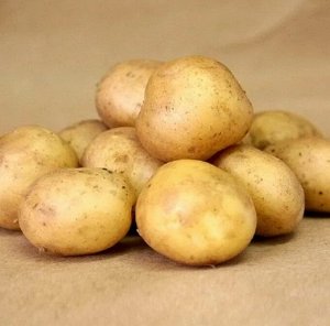 Семенной картофель "Крепыш", 5 кг