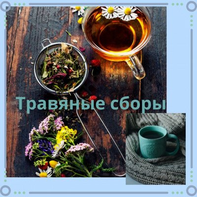 Шикарный чай Teapoint — Травяные сборы