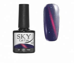 Гель-лак кошачий глаз Cat Eye Sky 10 мл №507