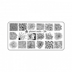 Пластина для стемпинга Stamping Nail Art  Planet Nails №34